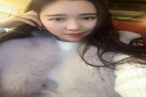 龙珠gt在线播放樱花